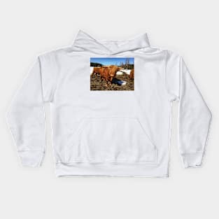 Scottish Highland Cattle Bull 1735 Kids Hoodie